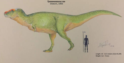 Tyrannosaurus rex reconstruction