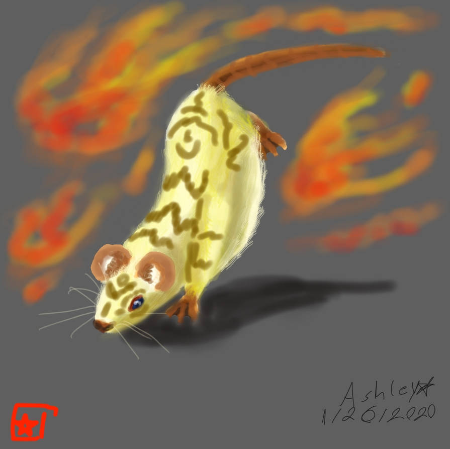 Mythic Rats Mythic rat by qilinpokemon on DeviantArt