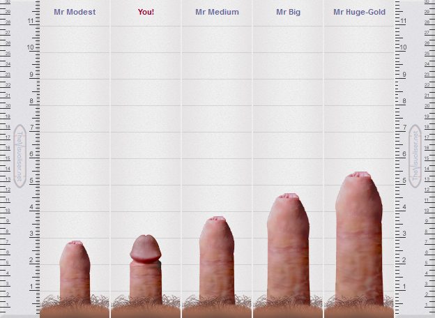 This Is The Ideal Penis Size Around The World.