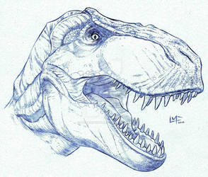 T-Rex ... re-scanned