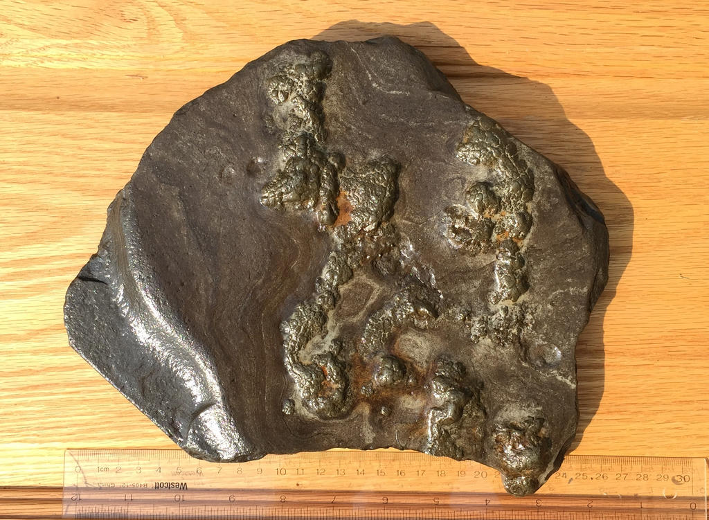 Antrim Pyrite Slab by Pr0teusUnbound on DeviantArt