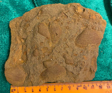 Explore the Best Columnal Art | DeviantArt