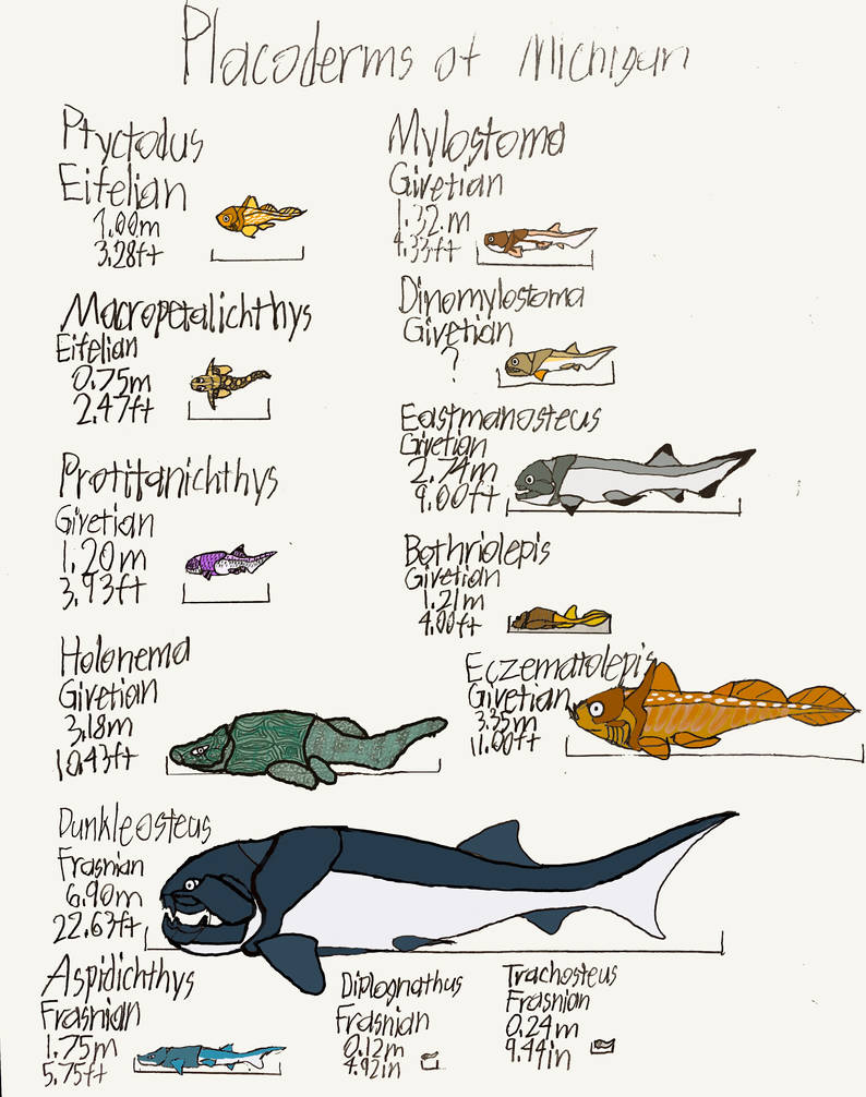 Pr0teusUnbound - Hobbyist, General Artist | DeviantArt