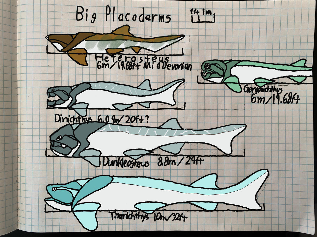 Big Placoderms Size Comparison Chart by Pr0teusUnbound on DeviantArt
