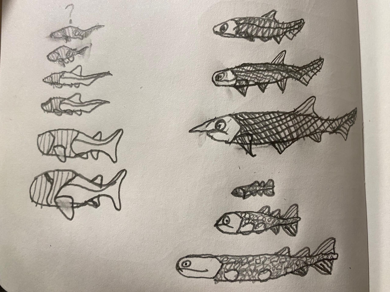Devonian Fish Practice by Pr0teusUnbound on DeviantArt