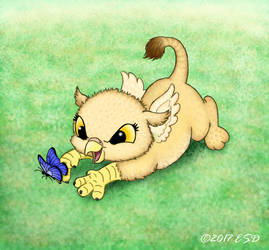 Baby Gryphon