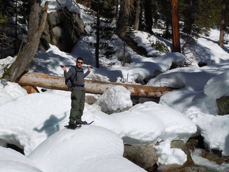 Snow Shoeing