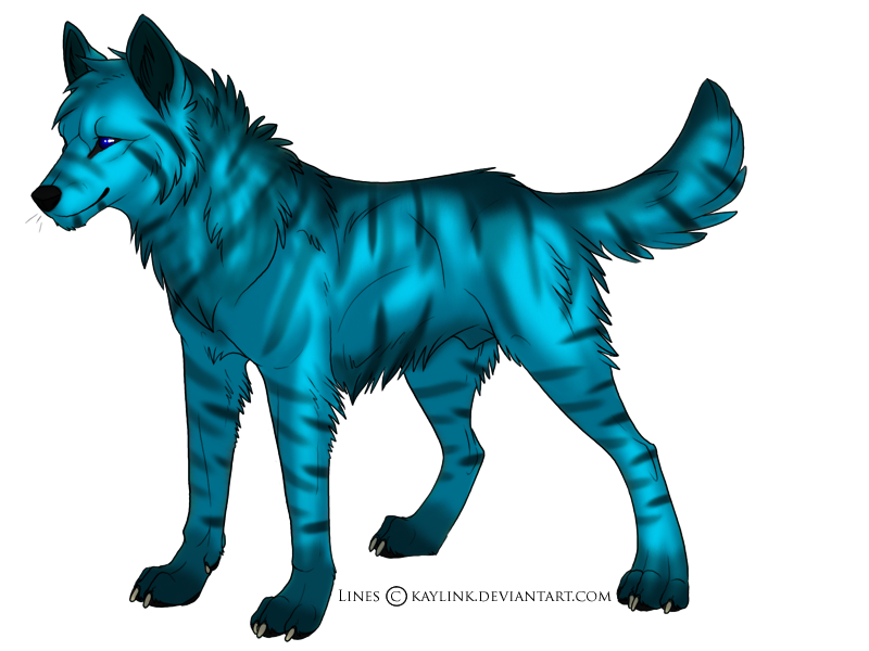 Blue Wolf by Wolfgrl13 on DeviantArt