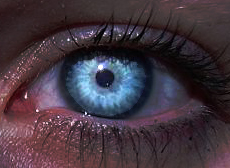 Eye