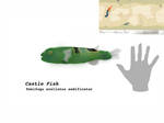 Castlefish by Midiaou