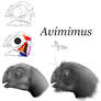 Reconstructing Avimimus