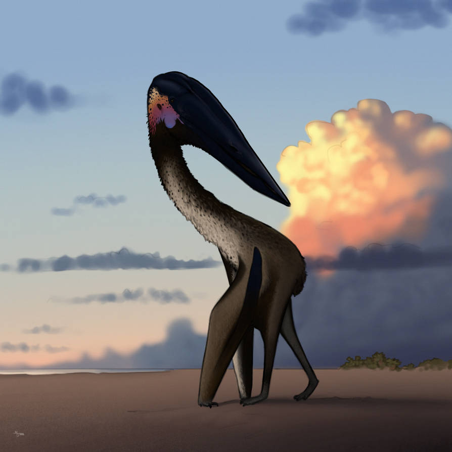 Hatzegopteryx Thambema 2022 By Midiaou On DeviantArt hatzegopteryx-thambema-2022-by-midiaou-on-deviantart