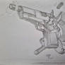 Squirrel with a Gun
