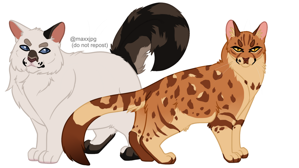 Leopardstar's Honor by maxxjpg on DeviantArt