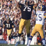 Mean Joe Greene....