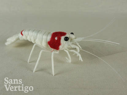 Mosura Crystal Red Shrimp [needle felt]