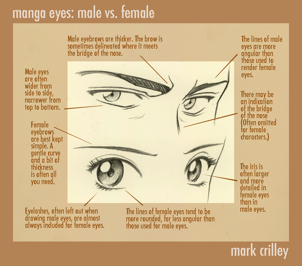 Tips for Drawing Male and Female Eyes – Part 1 - Anime Art Magazine