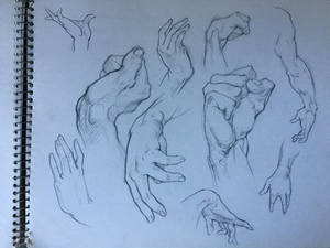Hand Drawing Practice 