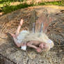Sleeping fairy ooak