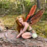 Little fairy in the Swedish Forest