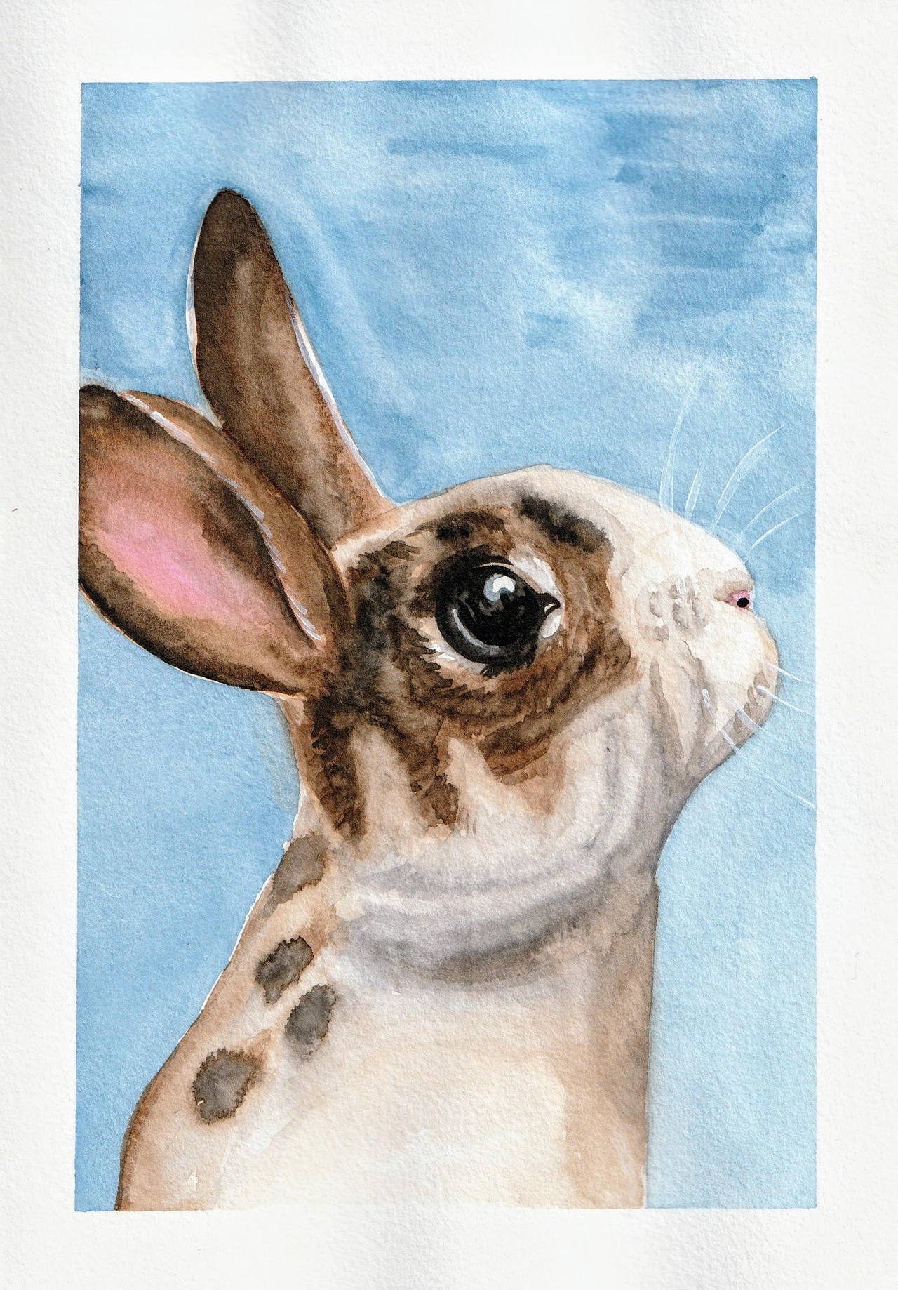 Brown Rabbit Deviantart Bunny by NataliaSwietekArt on DeviantArt