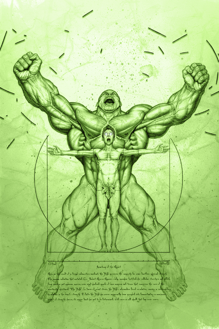 Anatomy of The Hulk