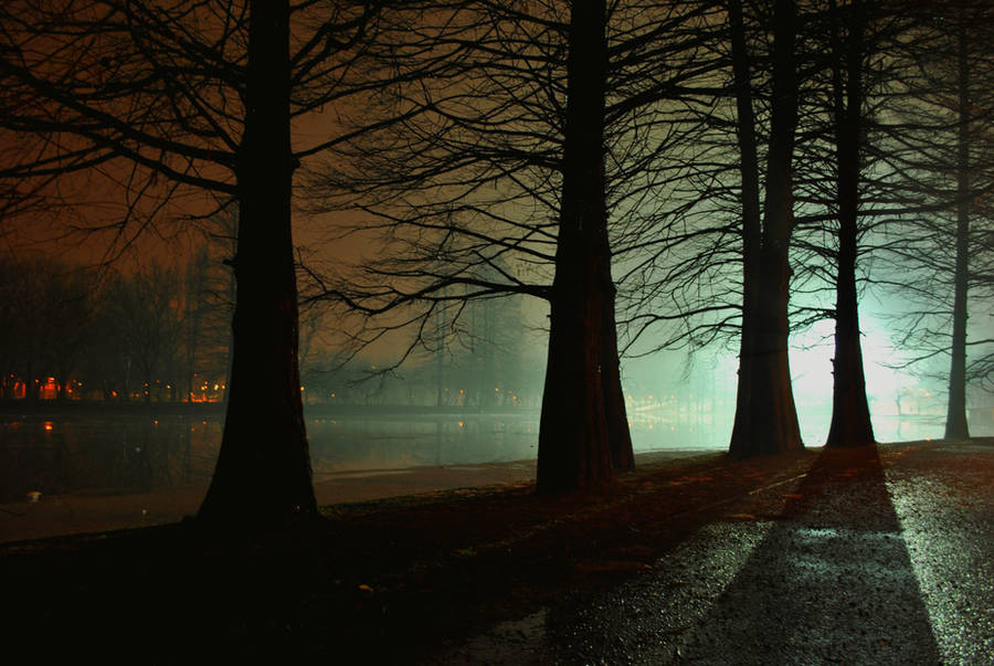..the..eeRie..NighT.. by Anotheroutsider