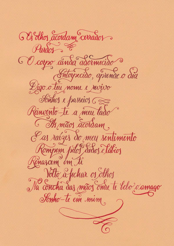 Portuguese by Anotheroutsider