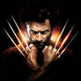 The Wolverine Collection