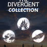 Divergent Collection