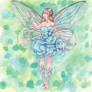 Hydrangea fairy 