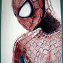 The Amazing Spiderman