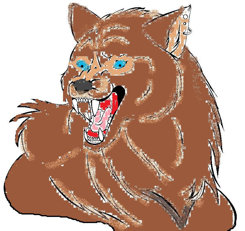 werewolf colors by darkwolfdeath on DeviantArt