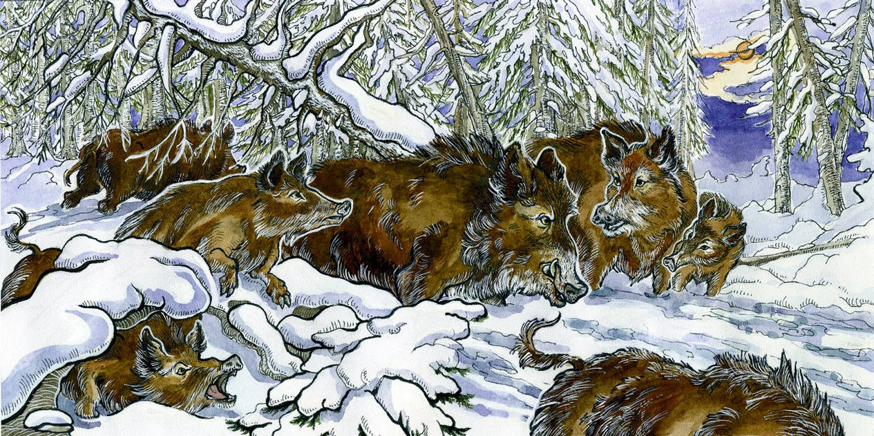 Migration by trollsha on DeviantArt