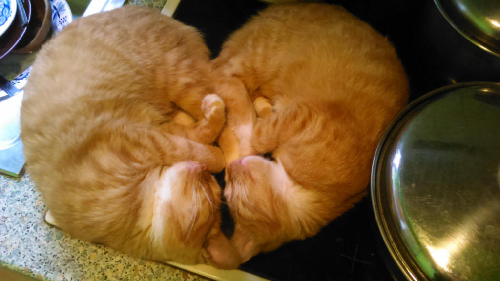 Fluffy heart X3