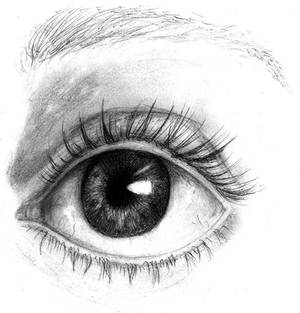 I have got my eye on you (Old drawing)