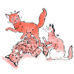 red cats