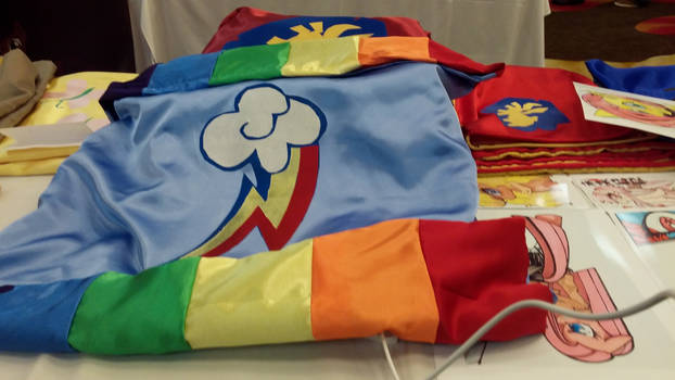 rainbow dash pillow case