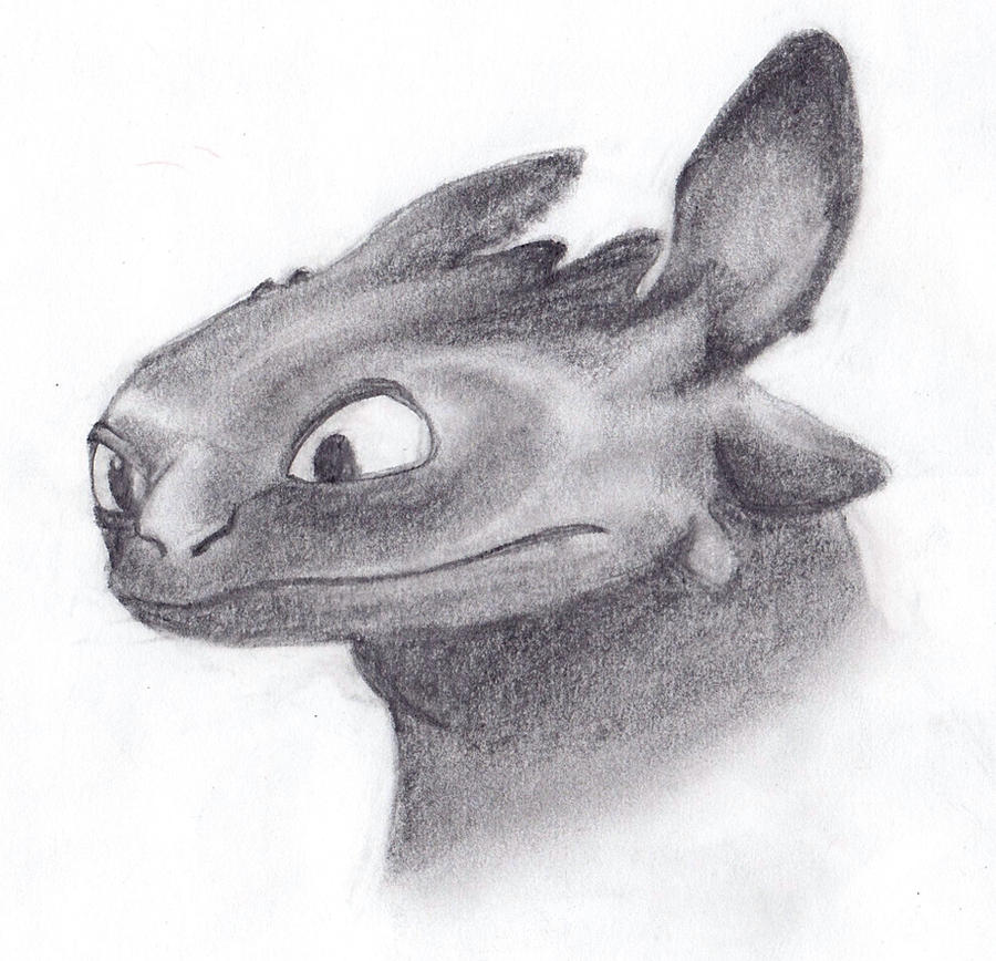 Toothless Large Drawing Toothless by DragonArtist97 on DeviantArt