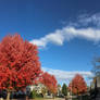 Autumn in the neighborhood