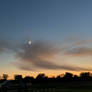 Sky Shark