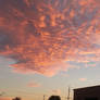 August Morning