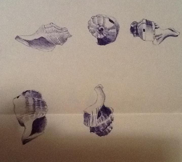 Shells Into Ink Pen Shells by DarkLightning98 on DeviantArt