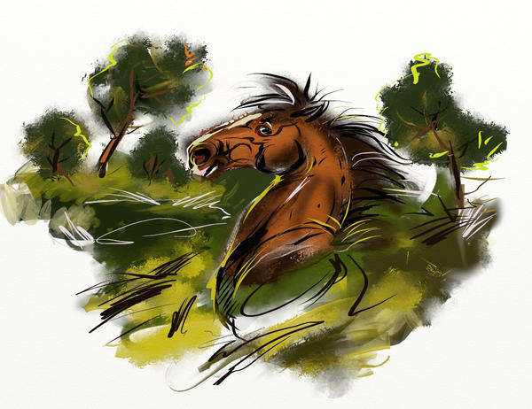 Art rage practice by Araxel on DeviantArt