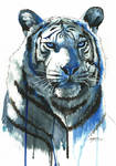 Ink Tiger