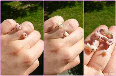 Cat and bunny stud rings