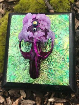 Muscadine - Crystallized Muskrat Skull (Completed)