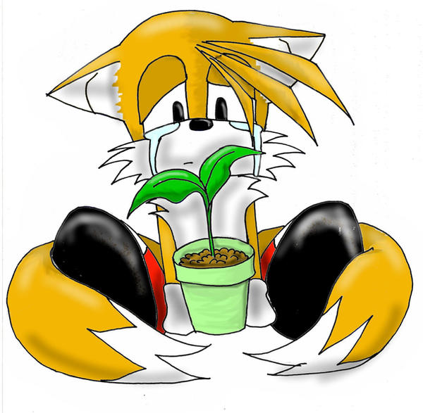 Deviantart Tails Sad Sad Tails by NeihraTheHedgefox on DeviantArt