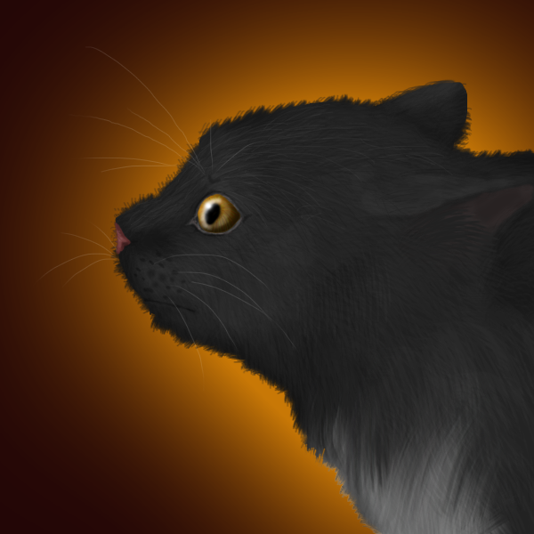 Ravenpaw