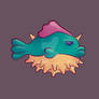 Grumpy pooferfish